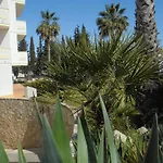 Jardim Paraiso *