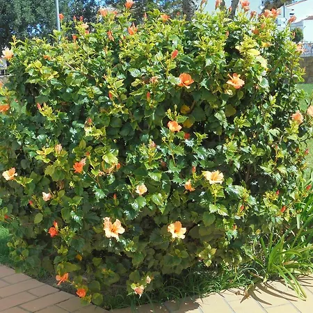Jardim Paraiso