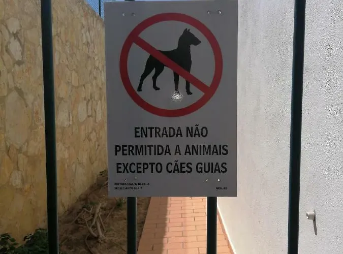 Jardim Paraiso 公寓 阿尔布费拉