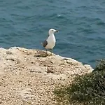 Jardim Paraiso Αλμπουφέιρα