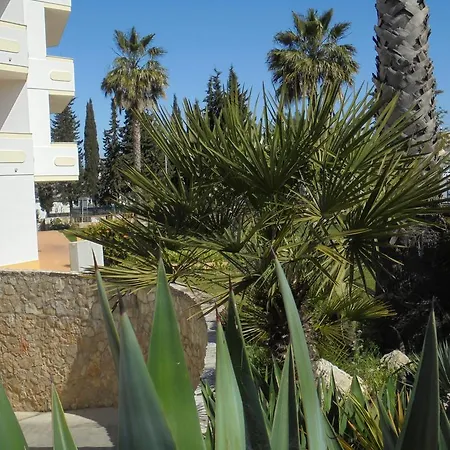 Jardim Paraiso *
