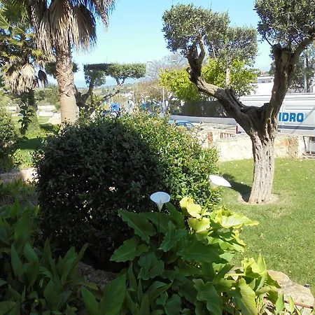 Jardim Paraiso البوفيرا